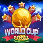 world cup final